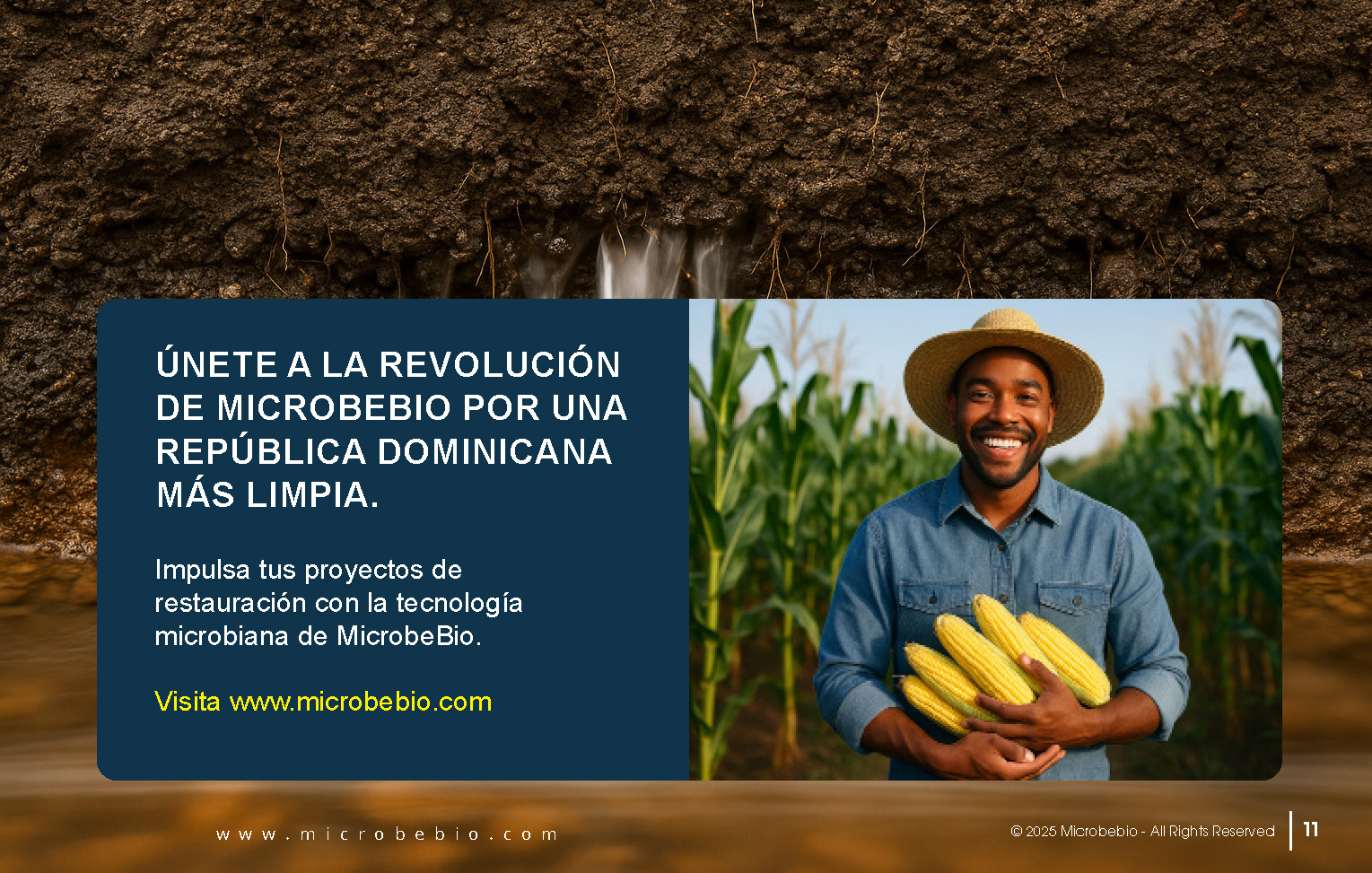 Reviving the Dominican Republic- Forests with MicrobeBio-Sustainable Soil Solutions for Heavy Metal Cleanup and Bioremediation_Page_11