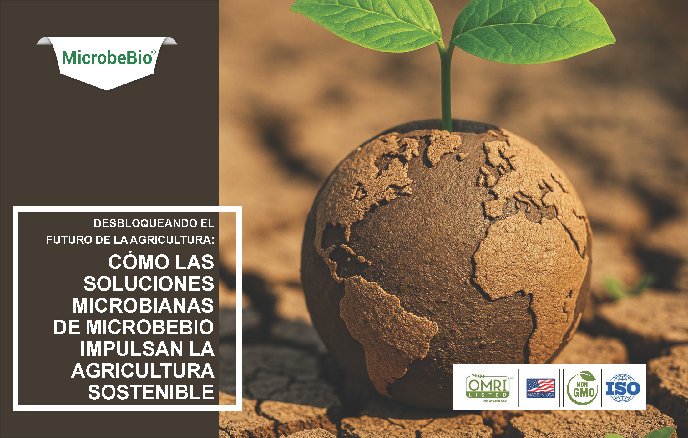Unlocking the Future of Farming-How MicrobeBio-Microbial Solutions Drive Sustainable Agriculture_Page_01