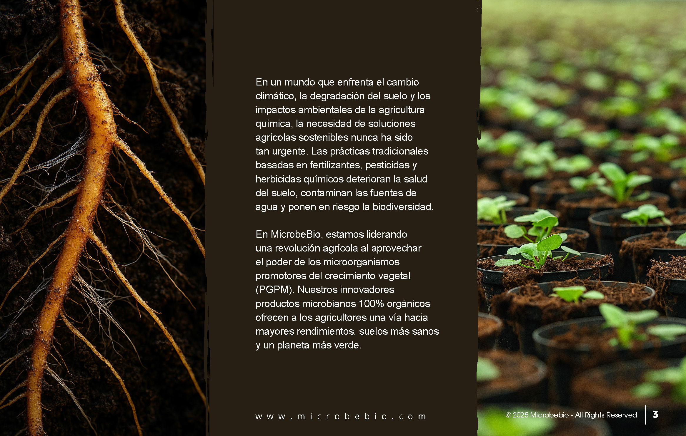 Unlocking the Future of Farming-How MicrobeBio-Microbial Solutions Drive Sustainable Agriculture_Page_03