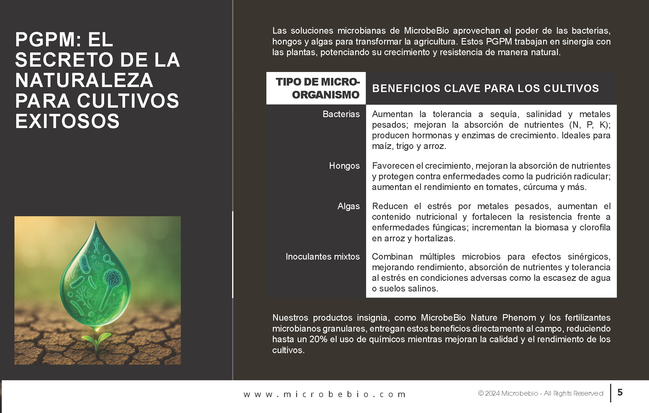 Unlocking the Future of Farming-How MicrobeBio-Microbial Solutions Drive Sustainable Agriculture_Page_05