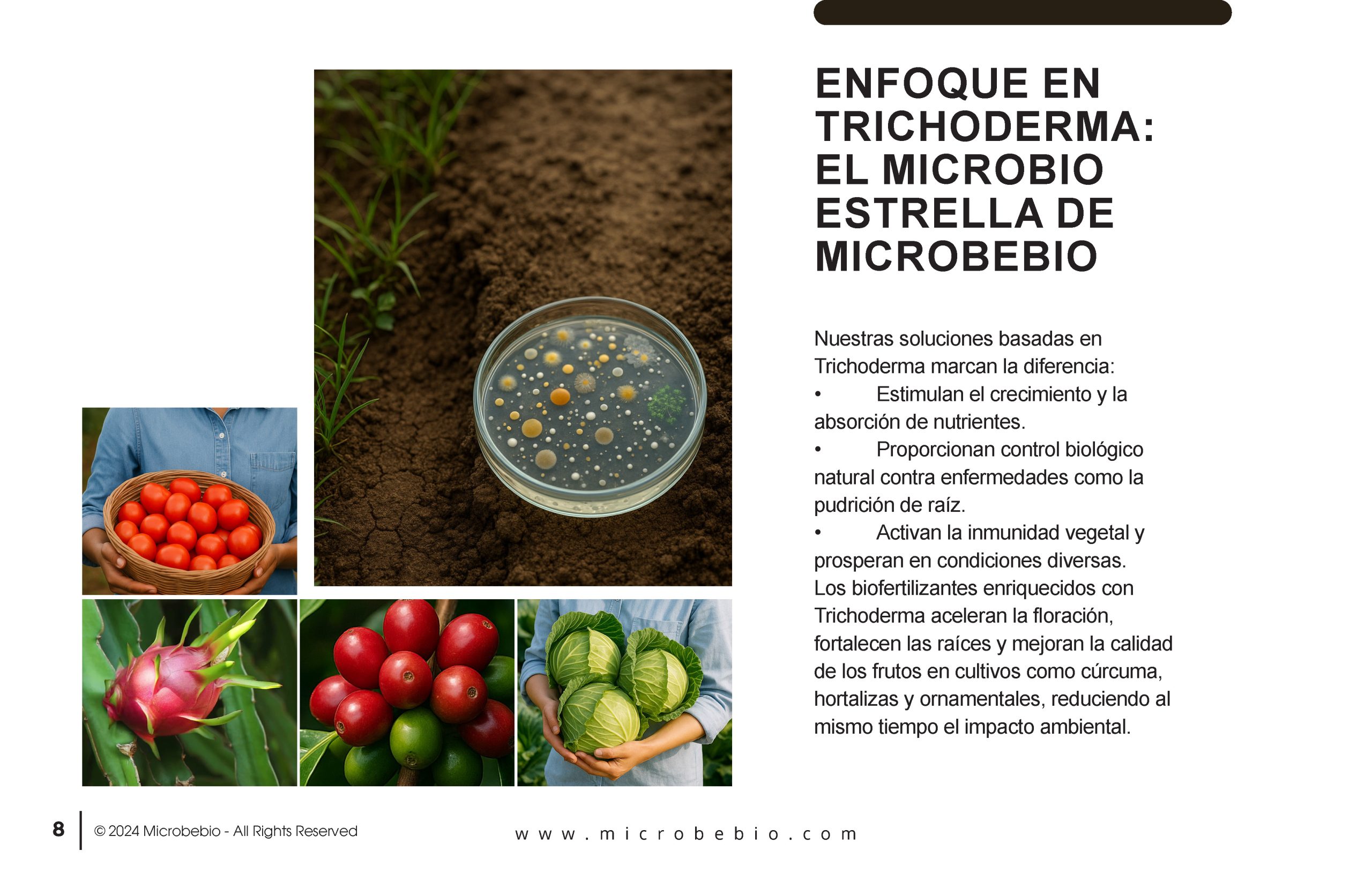 Unlocking the Future of Farming-How MicrobeBio-Microbial Solutions Drive Sustainable Agriculture_Page_08