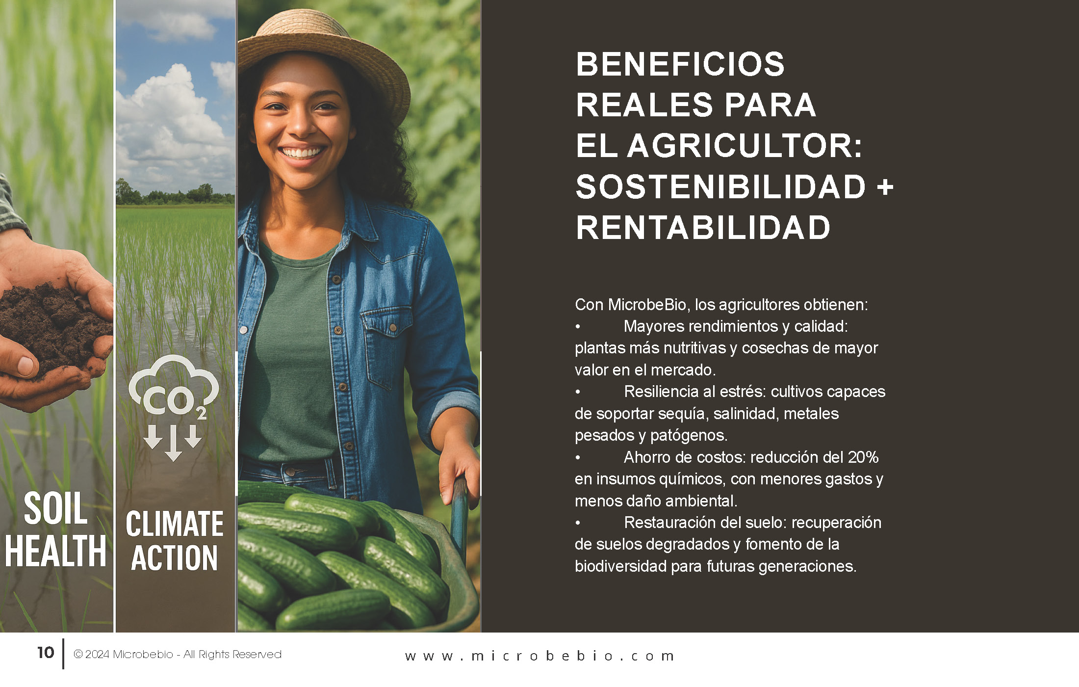 Unlocking the Future of Farming-How MicrobeBio-Microbial Solutions Drive Sustainable Agriculture_Page_10