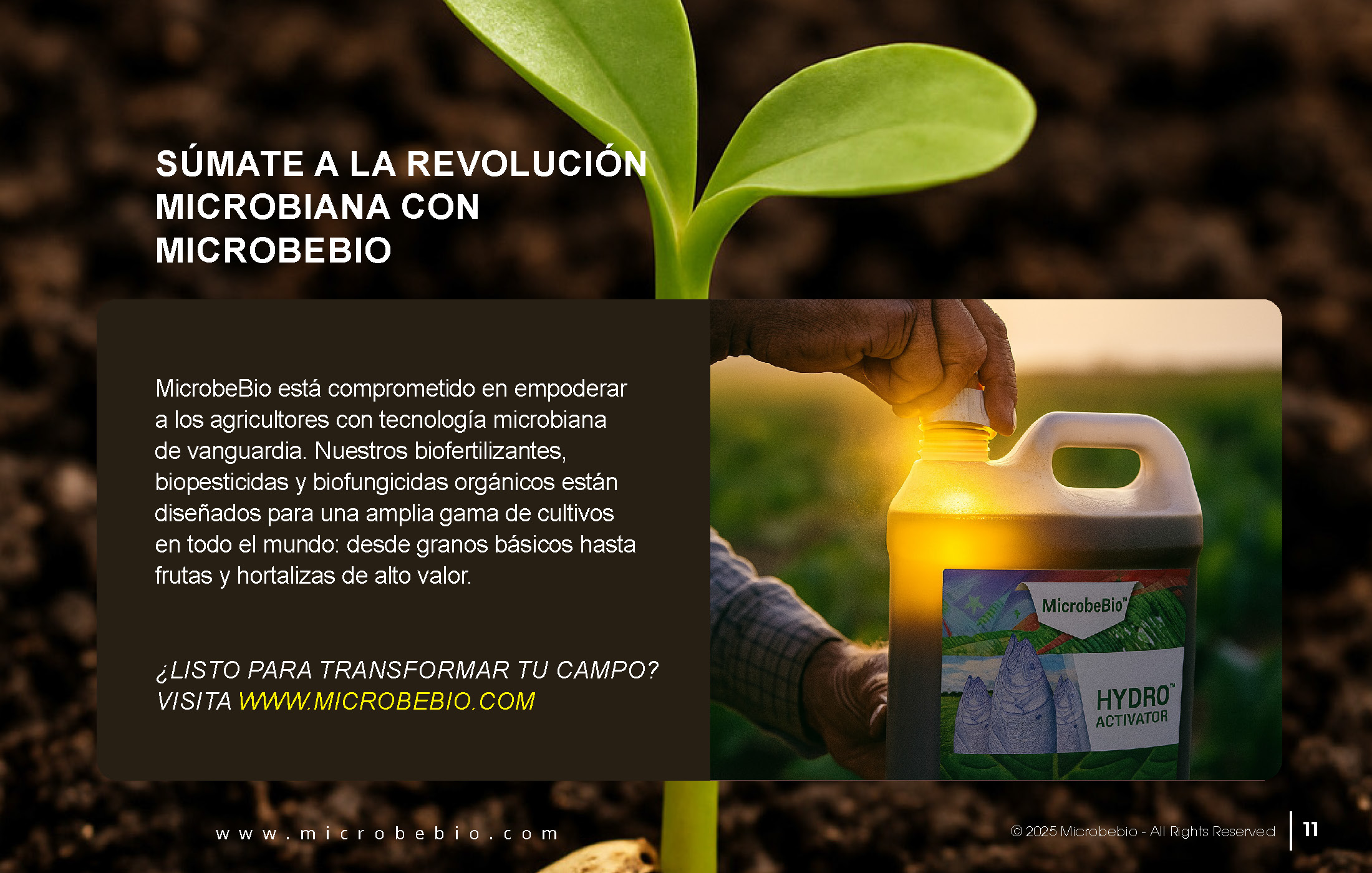 Unlocking the Future of Farming-How MicrobeBio-Microbial Solutions Drive Sustainable Agriculture_Page_11