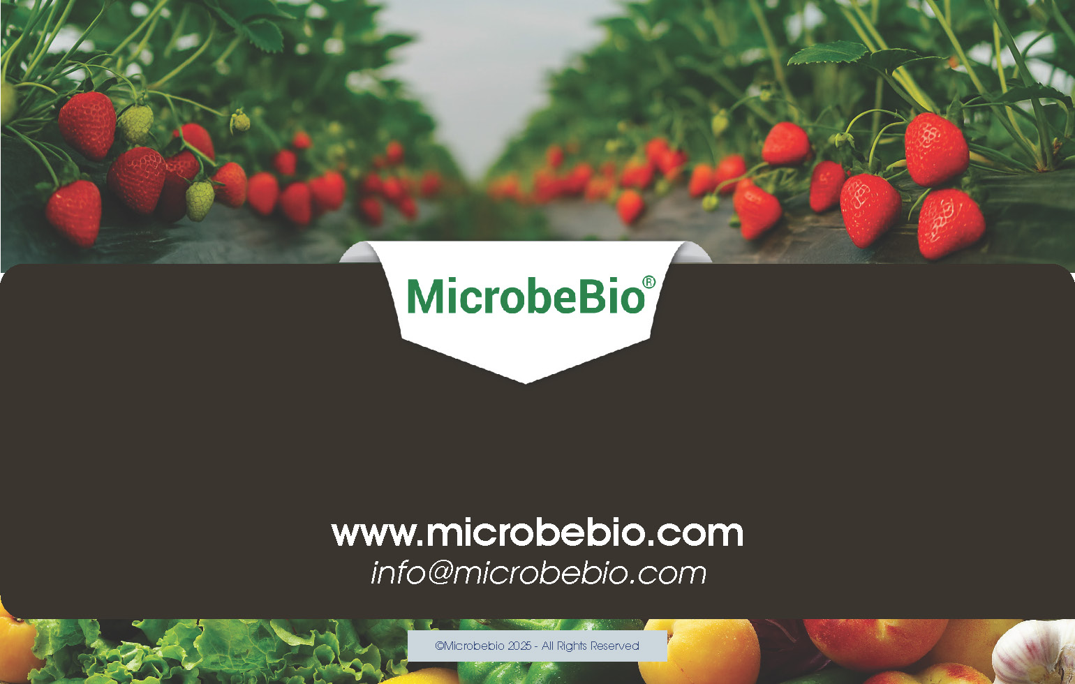 Unlocking the Future of Farming-How MicrobeBio-Microbial Solutions Drive Sustainable Agriculture_Page_12